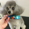 A-List Grooming by Susan