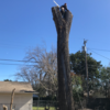 Perez Tree Service