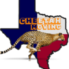 Cheetah Moving LLC